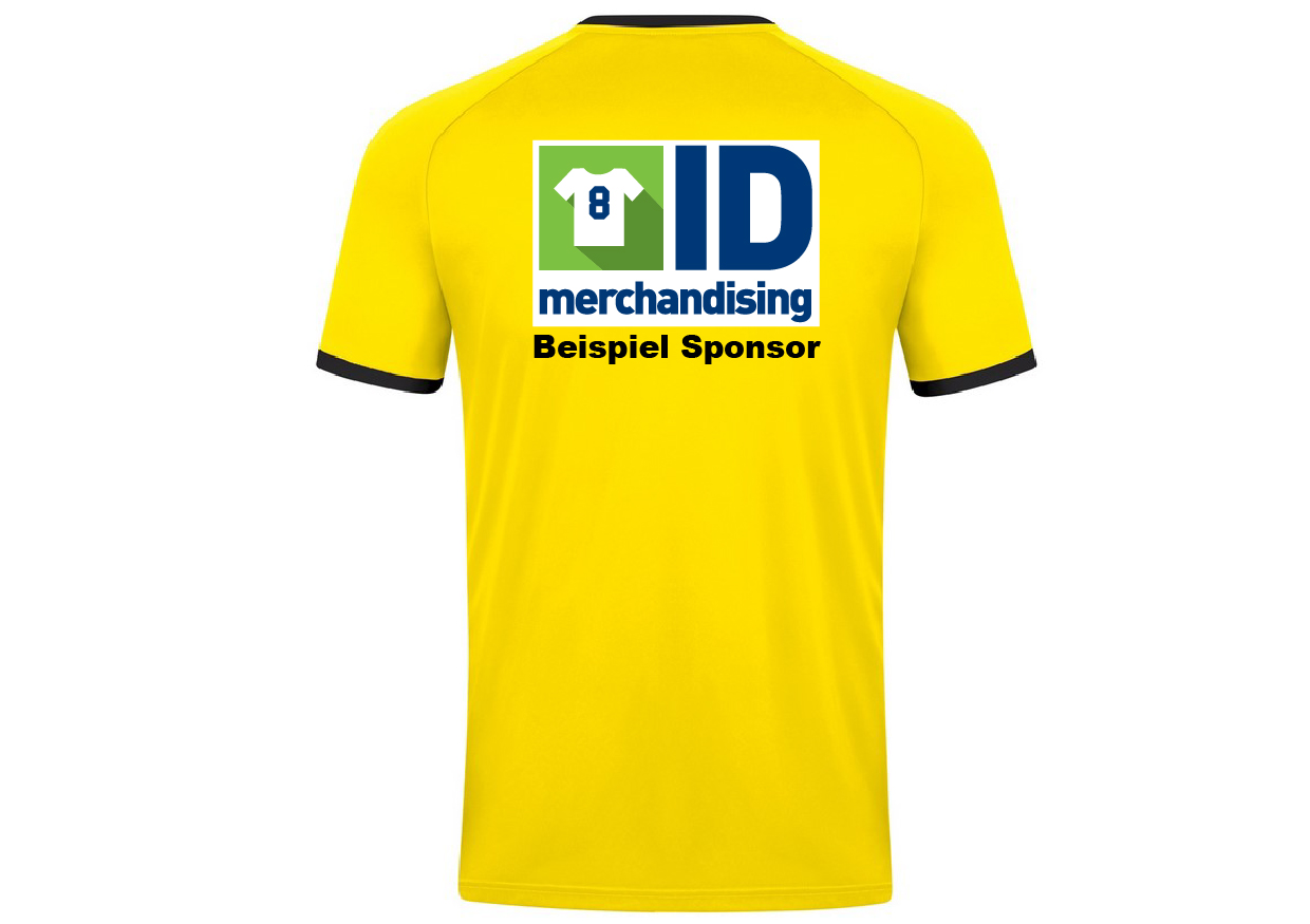 Sponsor Rücken mehrfarbig TUS